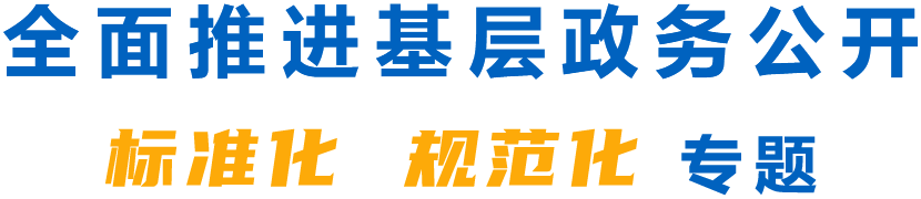 全面推进基层政务公开标准化规范化专题