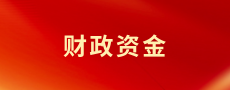 财政资金