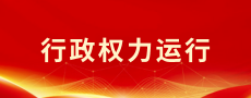 行政权力运行
